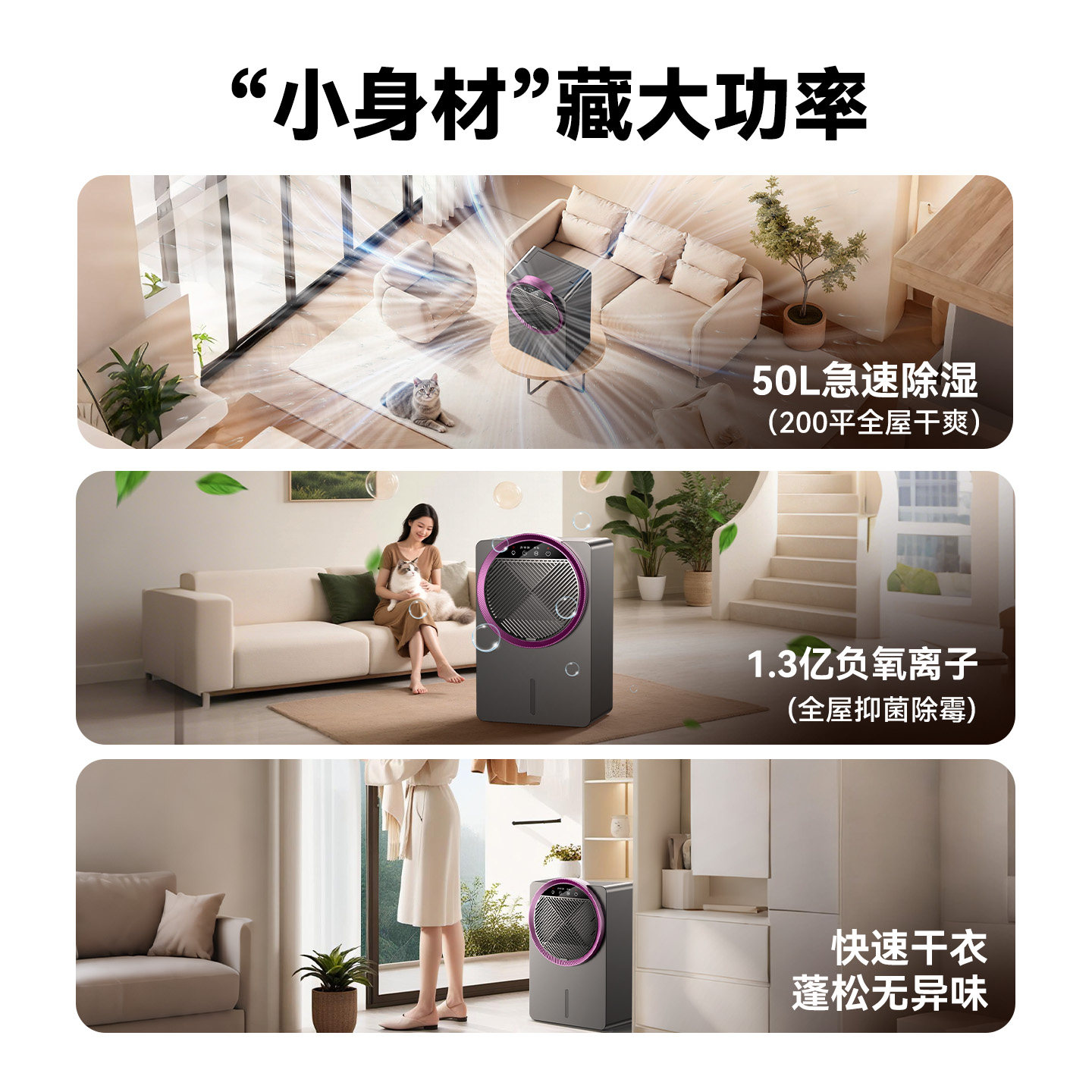 Dehumidifier household silent air purification and dehumidification all-in-one machine bedroom basement drying dormitory moisture absorber