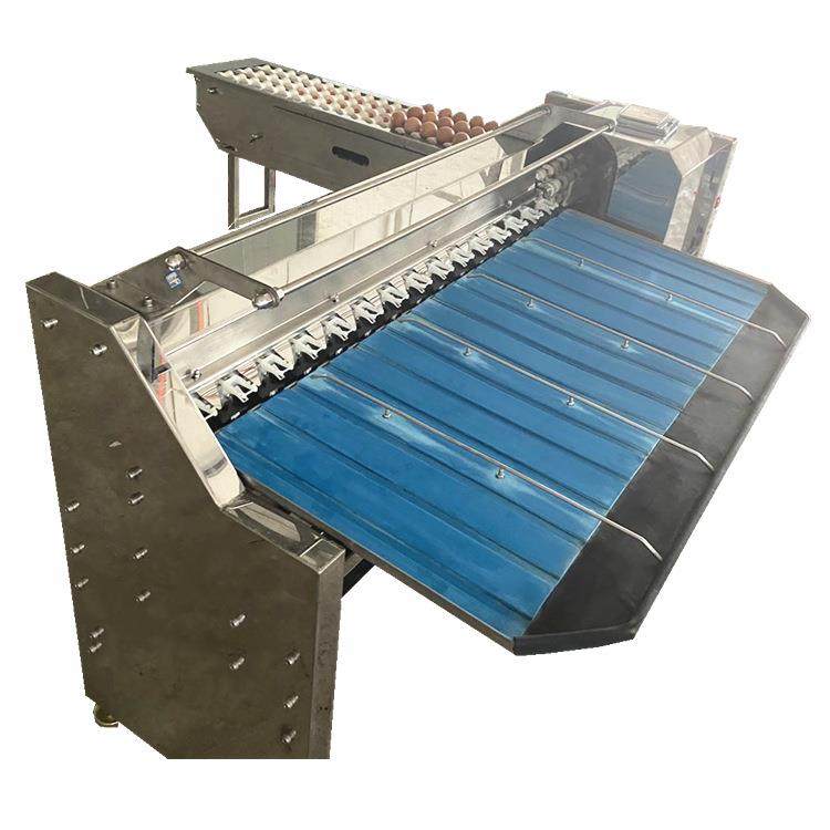 商用鸡蛋按重大小分级机 鸭蛋分选机 蛋品分拣机 种蛋挑选机,淘宝优惠券,粉丝福利购,淘宝优惠卷