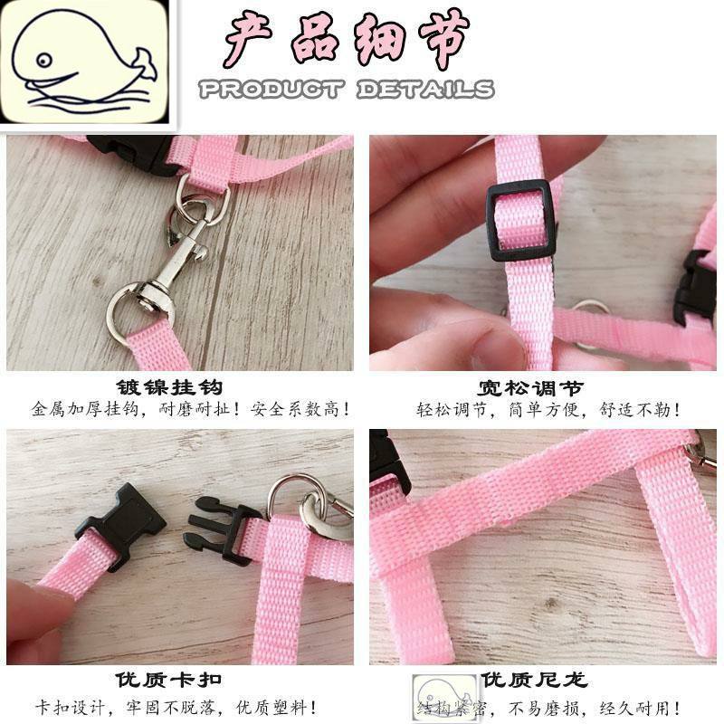 兔子牵引绳 龙猫豚鼠荷兰猪外出宠物胸背小型宠物用  遛兔绳,淘宝优惠券,粉丝福利购,淘宝优惠卷
