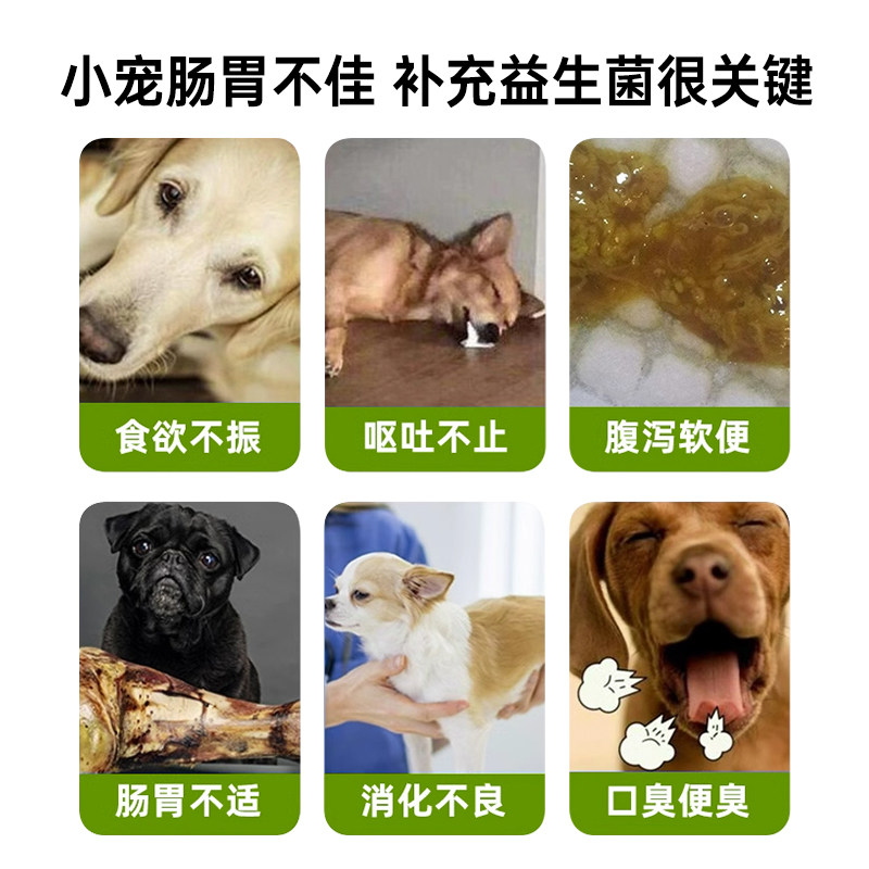 强生宠儿卓萃狗狗用益生菌宠物调理肠道缓解腹泻呕吐肠胃宝犬专用