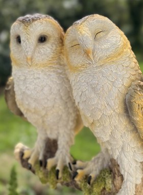 庭院花园树脂装饰品仿真猫头鹰动物摆件入户门院子露台户外造景