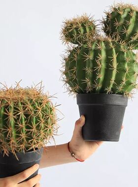 仿真仙人球绿植仿生盆栽摆件沙漠植物假仙人掌家居装饰热带造景