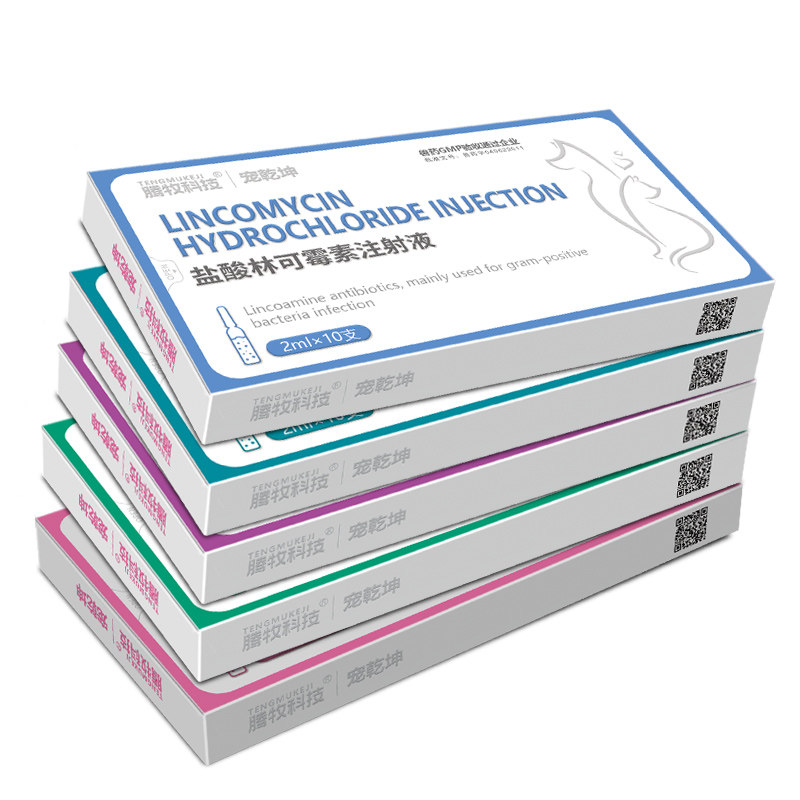 宠乾坤猫鼻支猫咪雾化药猫咪狗狗乌龟肺炎宠物雾化套餐咳嗽打喷嚏,淘宝优惠券,粉丝福利购,淘宝优惠卷