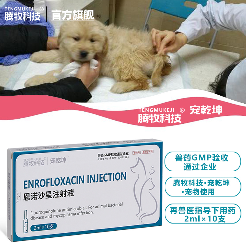恩诺沙星注射兽用宠物专用恩诺沙星猫用狗用翻肠鹦鹉白痢仓鼠湿尾 - 图1
