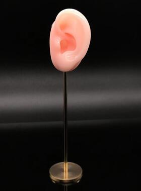 饰品展示道具硅胶耳朵工艺品可穿刺摆件铜支架装饰品拍摄道具软耳