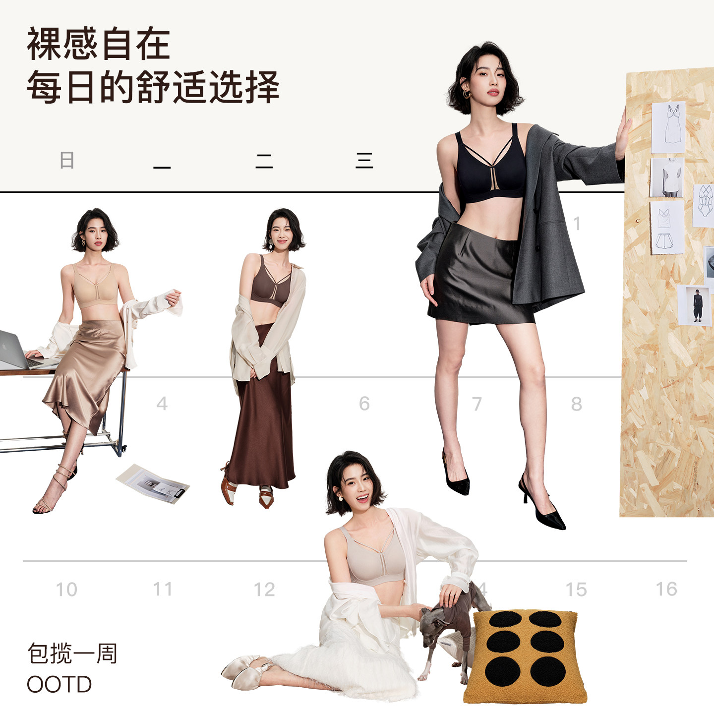 图 5