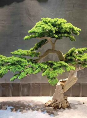 罗汉松仿真树室内酒店橱窗造景装饰假松树新中式造型高端轻奢摆件