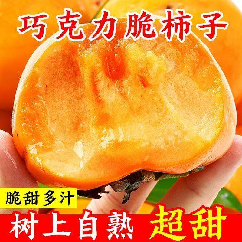 软硬两吃 带箱5斤巧克力脆柿陕西新鲜水果生吃脆柿子硬甜柿子