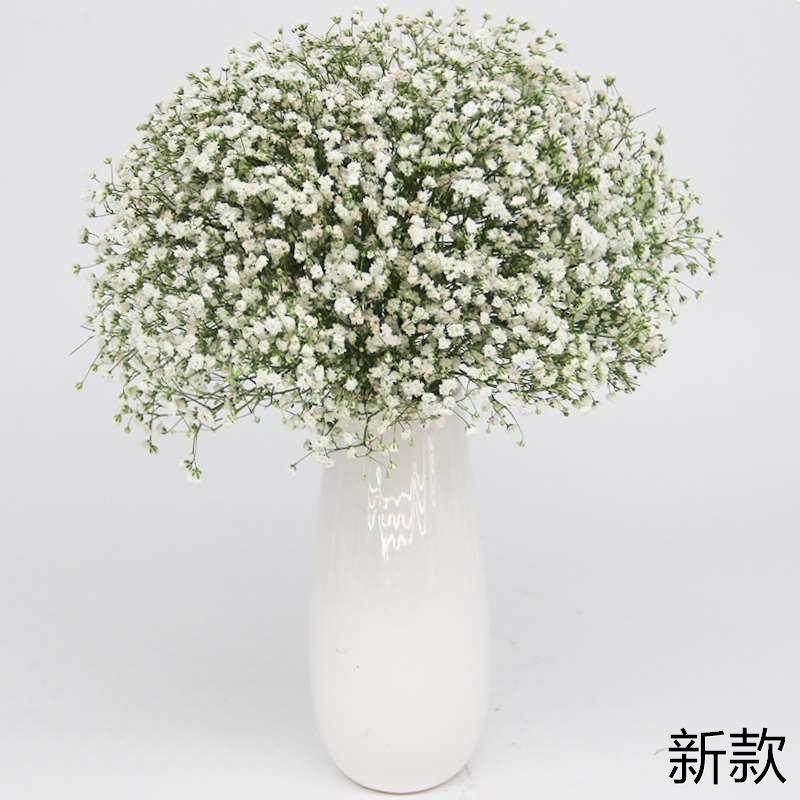 云南鲜花直发满送干花天星女朋友毕业礼物办公室生日家庭花束新款