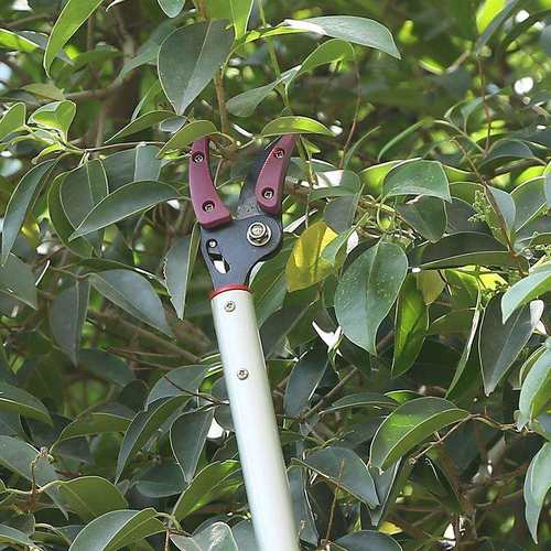 多功能可伸缩摘果器高空粗枝摘果采果剪园林高枝弯头修剪工具 - 图1