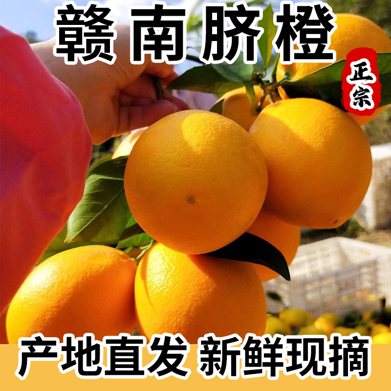 正宗赣南脐橙10斤装大果甜橙子江西赣州产地直发新鲜水果整箱包邮