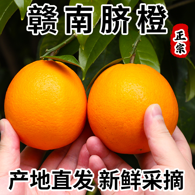正宗赣南脐橙江西赣州产地直发手剥橙当季孕妇甜橙子新鲜水果整箱