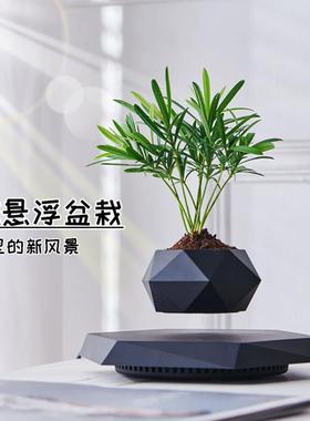 磁悬浮摆件客厅办公室桌面轻奢高档盆栽盆景创意黑科技家居好物
