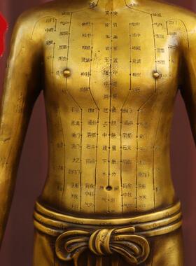 纯黄铜针灸铜人体模型中医馆装饰可定制诊所药房摆件穴位人铜摆件