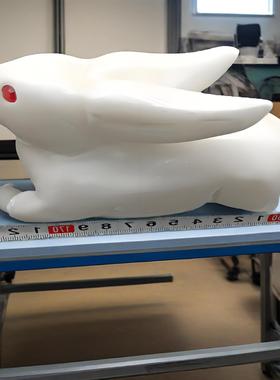 雕刻白玉小白兔生肖白玉兔摆件家居办公兔子摆件工艺带礼盒证书