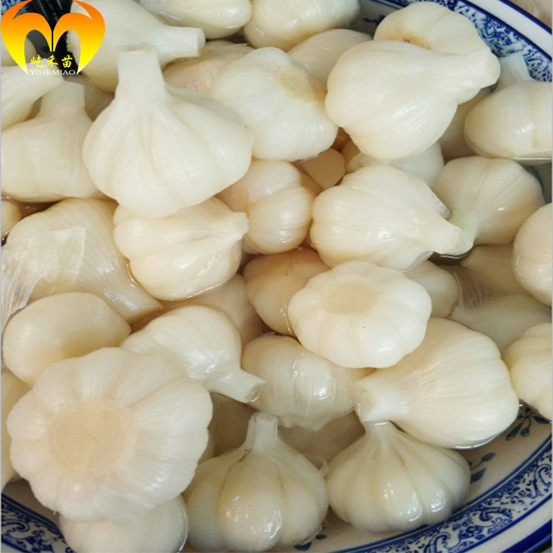 净重无水真空装腌制大蒜传统腌制正宗糖醋蒜头泡菜同味款糖蒜泡菜 - 图1
