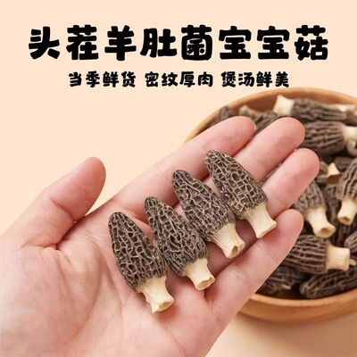 云南特产羊肚菌干货新鲜菌菇煲汤食材菌类菌菇