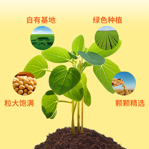 北大荒非转基食用油因古法土榨三级大豆油5升家庭版桶装炒菜 - 图2