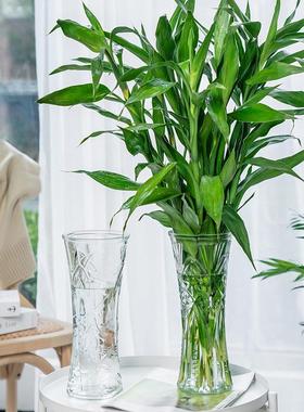 大号水晶玻璃花瓶透明简约富贵竹百合水培家居插花小清新摆件