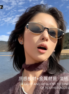 超轻复古小棕镜墨镜女