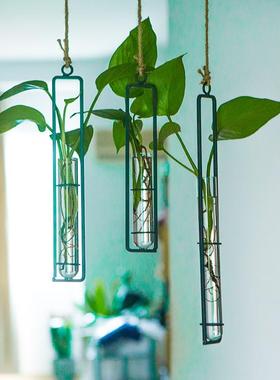 创意铁艺玻璃花瓶麻绳挂件客厅墙上壁挂水培绿萝植物容器悬挂壁饰