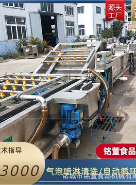 厂家供应 果蔬清洗机 多用途大枣辣椒气泡喷淋清洗机 洗菜机