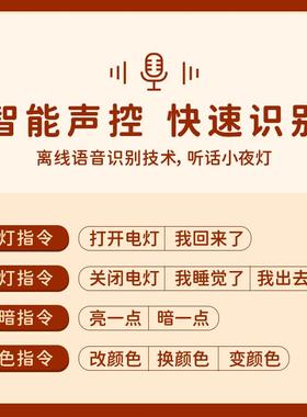 可爱卡皮巴拉台灯摆件卧室床头装饰小夜灯送女生乔迁新居生日礼物