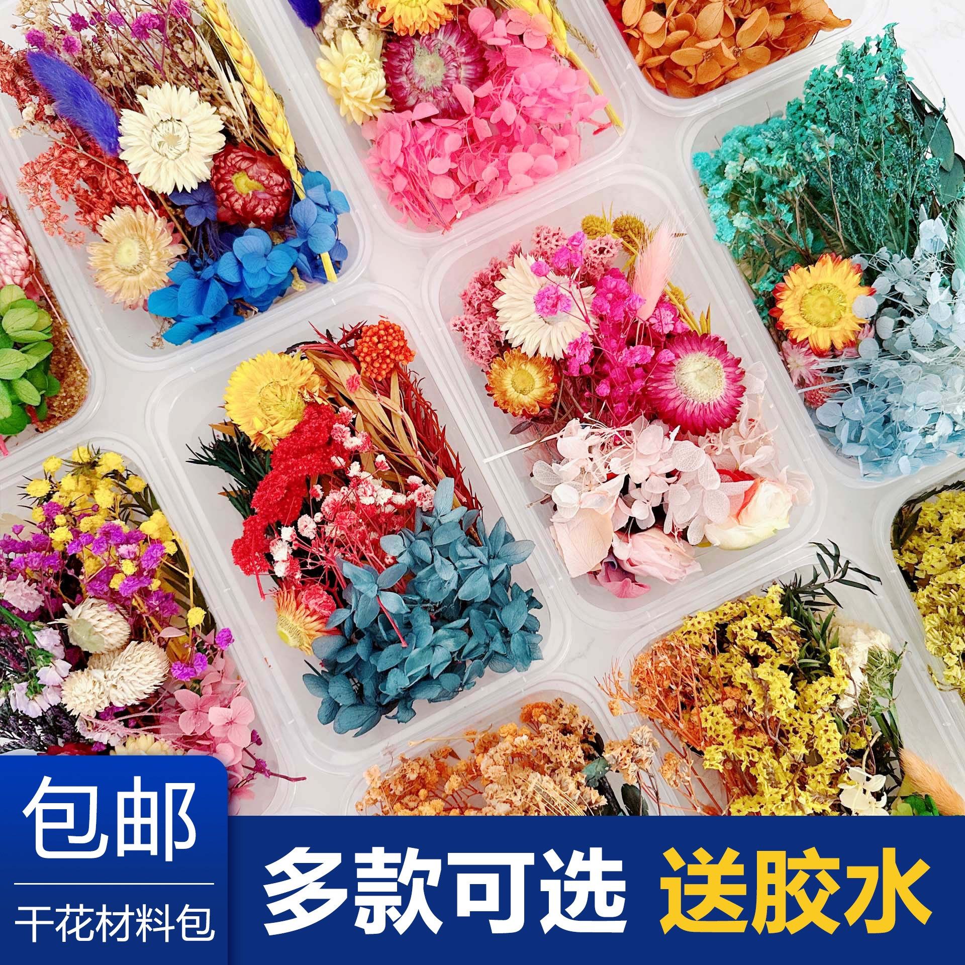 永生干花DIY混装材料包相框摆件真花团扇天然花材团建母亲节礼物
