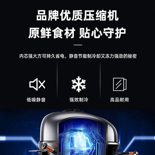 志高小冰箱家用一级节能省电小型租房宿舍用办公室迷你双门电冰箱 - 图1