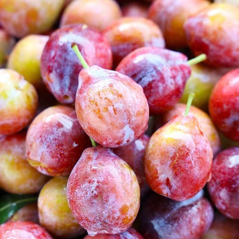 正宗新疆西梅新鲜5斤装纯甜法兰西大西梅李子应季孕妇水果整箱,淘宝优惠券,粉丝福利购,淘宝优惠卷
