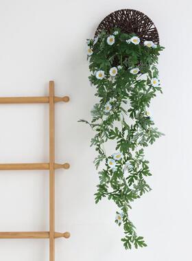 小雏菊藤蔓人造花假花攀缘植物花藤装饰室内墙面园林绿化堵管