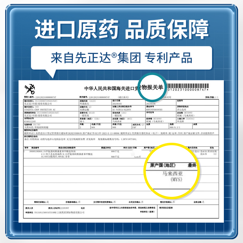 先正达进口蟑螂药家用全窝端正品非无毒胶饵一窝绝杀强效虫卵双杀