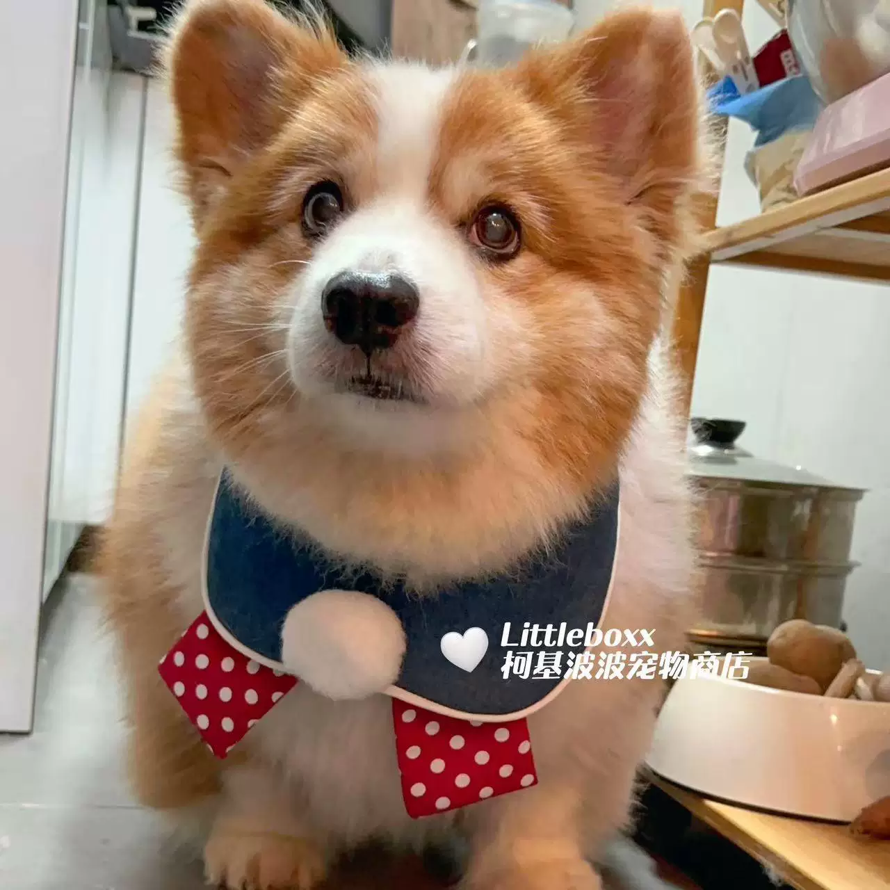 Собачий и кошачий шарф-плед в стиле Corgi Popo, красно-белый горошек, ретро большой шар, саливатный шарф-трость, индивидуальный нагрудник