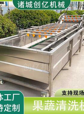 定制净菜加工成套设备果蔬清洗机叶菜山野菜气泡喷淋清洗机