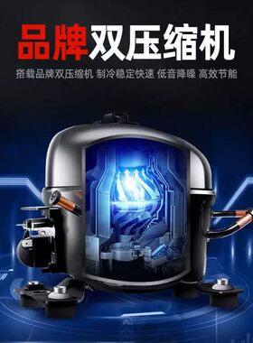 雪村烧烤点菜冷藏展示柜海鲜保鲜冰柜冷冻商用移动摆摊专用小冰箱