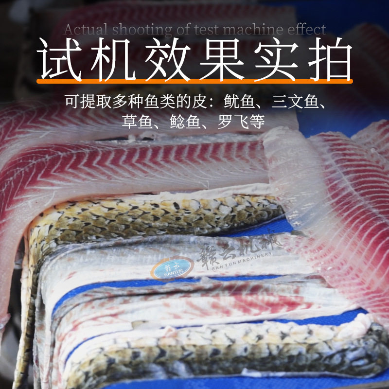 赣云牌去鱼皮机自动剥鱼皮机鳗鱼去皮机鱿鱼去皮机牛蛙去皮机商用,淘宝优惠券,粉丝福利购,淘宝优惠卷