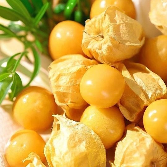 Northeastern girl's fruit specialty fruit, fresh seasonal whole box, lantern fruit, yellow mushroom, foreign girl's fruit, large fruit, sweet mushroom, cold