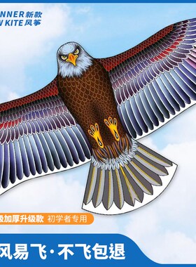 风筝儿童老鹰大人专用微风易飞2024新款高级仿真抗大风手持轻体