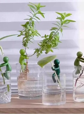 桌面水培植物支撑架防倒伏扶枝