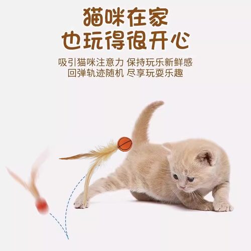 宠物羽毛逗猫球弹力球自嗨解闷互动发泄神器耐咬磨牙球逗猫棒玩意 - 图0