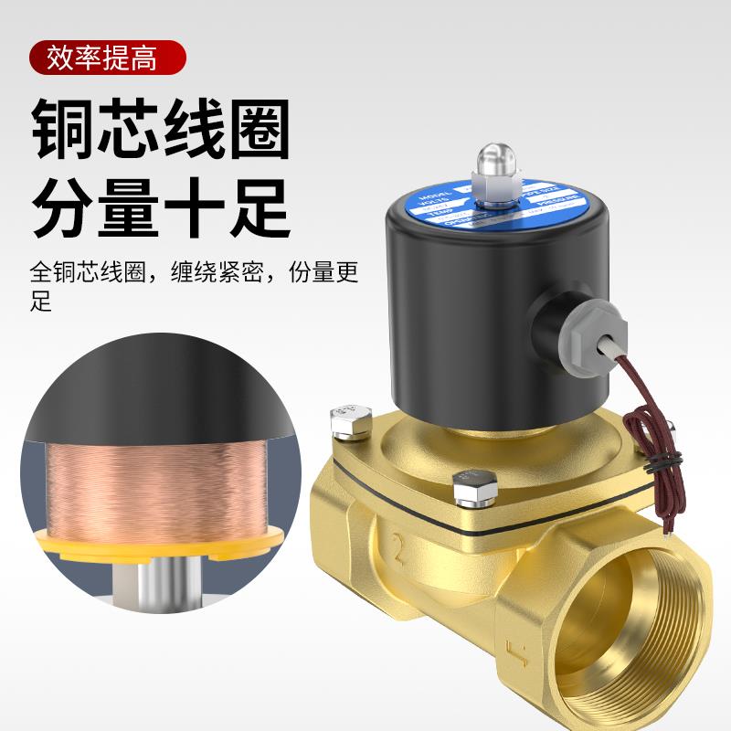 2W常闭进水24V电磁阀220V铜开关阀2分4分6分1寸放水控制阀12V水阀 - 图3