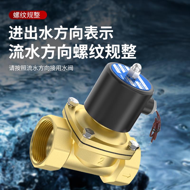 2W常闭进水24V电磁阀220V铜开关阀2分4分6分1寸放水控制阀12V水阀 - 图1