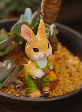 可爱兔子微景观j花园阳台装饰花盆景多肉造景摆件办公书桌摆设礼