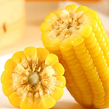 首单1！啃糯黄糯玉米2025新鲜采摘8根[2元优惠券]-寻折猪