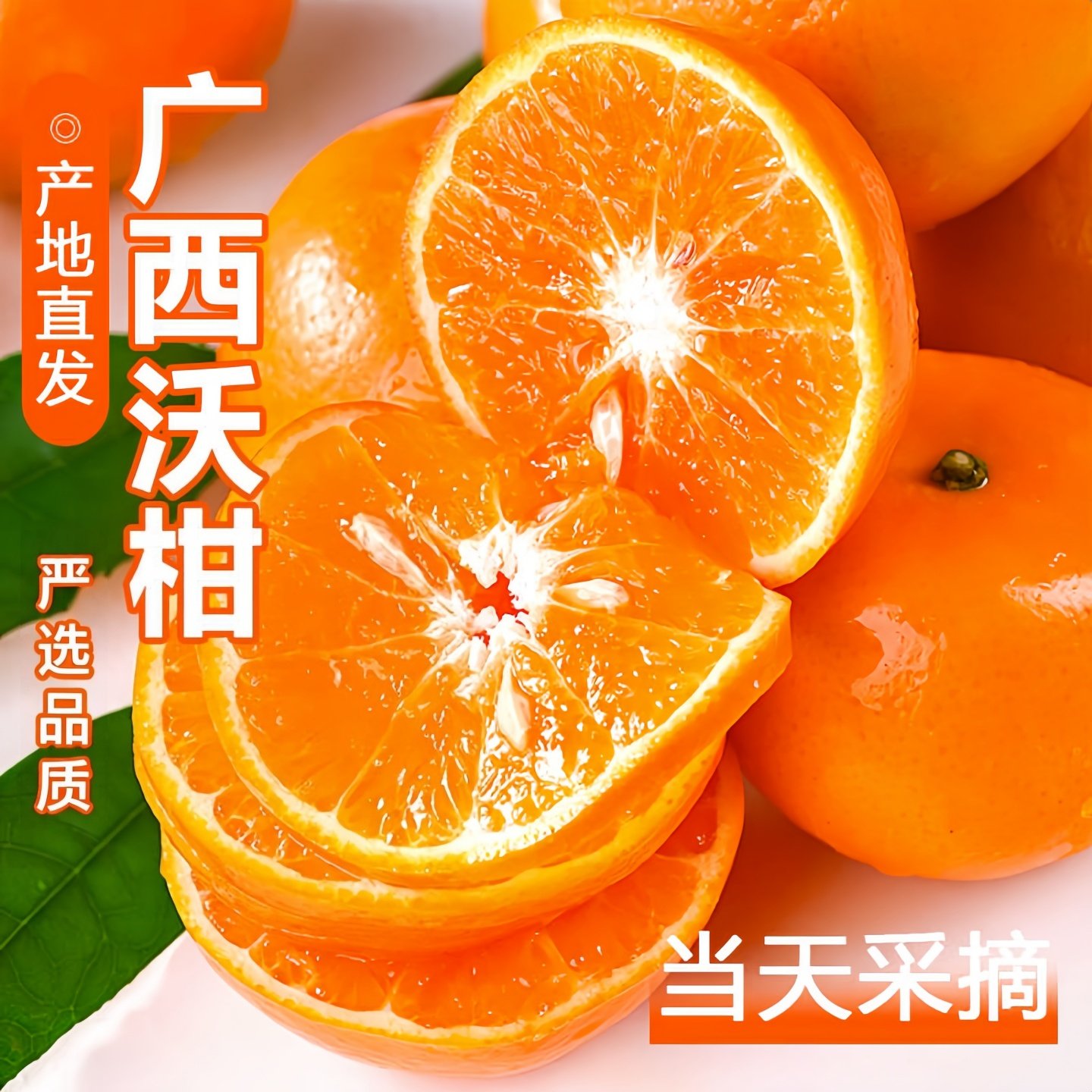 广西武鸣沃柑超甜多汁橘子10当季新鲜水果薄皮桔子现摘产地直发,淘宝优惠券,粉丝福利购,淘宝优惠卷