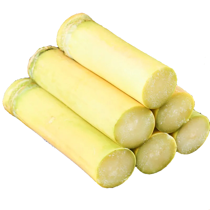 云南黄金甘蔗当季新鲜脆甜黄皮甘蔗中段热带水果正宗特产新鲜现摘,淘宝优惠券,粉丝福利购,淘宝优惠卷