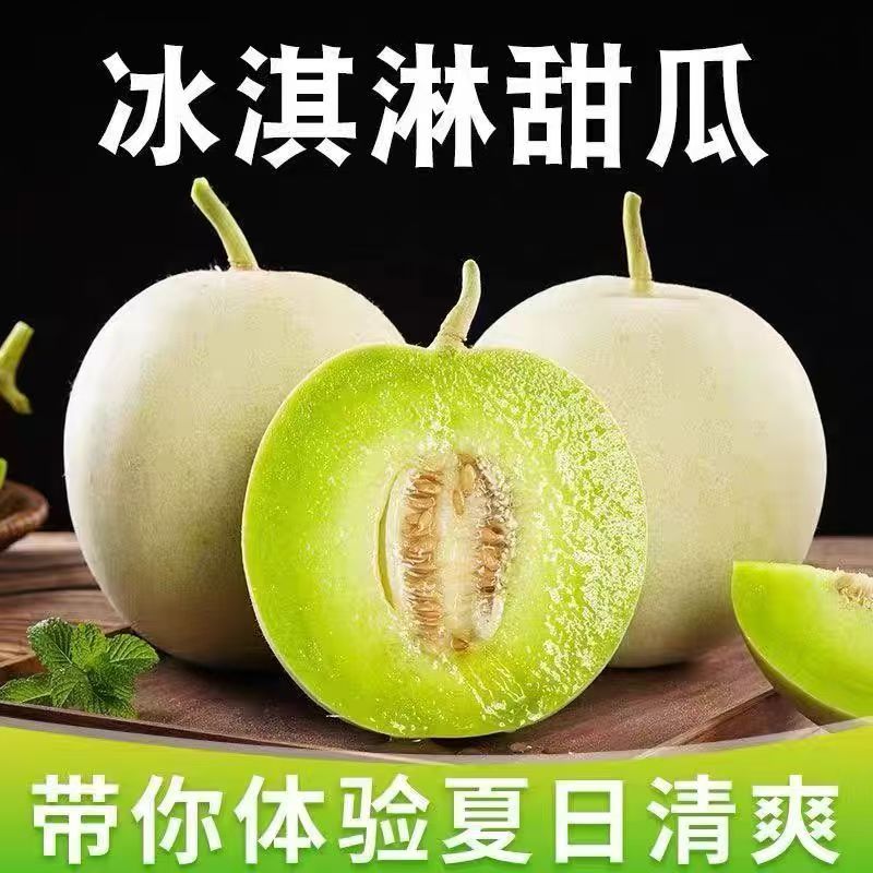 海南玉菇甜瓜蜜瓜正宗新鲜水果应季现摘当季冰淇淋香瓜甜瓜整箱