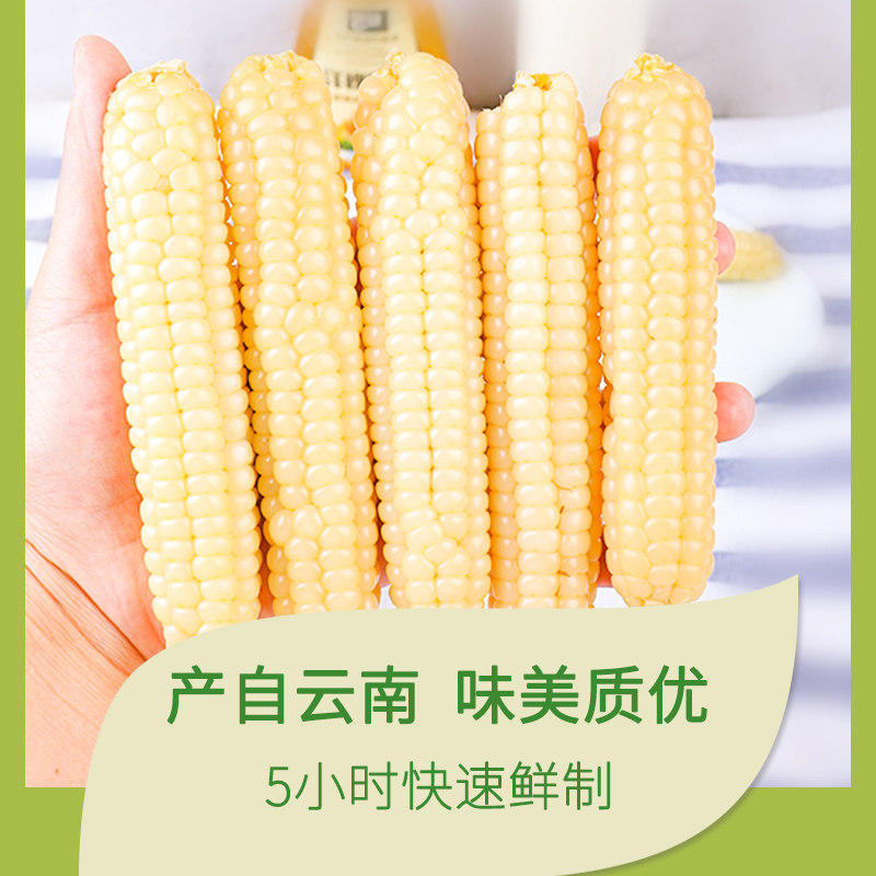 白金拇指玉米 营养健康 软糯香甜入口即酥 精美包装禾咕咕拇指1kg