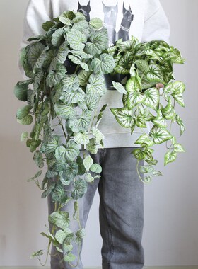 ins北欧风仿真绿萝藤蔓绿植假盆栽造景摆件橱窗店面装饰壁橱悬挂