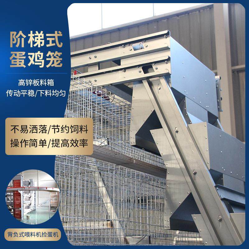 鸡笼全自动蛋鸡笼喂料全套养鸡设备四层养殖场设备组合阶梯式鸡笼,淘宝优惠券,粉丝福利购,淘宝优惠卷